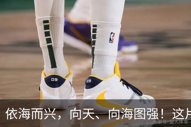 依海而兴，向天、向海图强！这片“蔚蓝”从开放政策到科技力量孕育无限可能